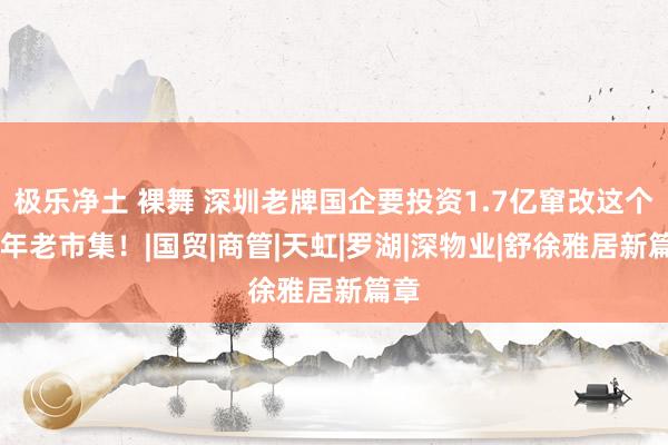 极乐净土 裸舞 深圳老牌国企要投资1.7亿窜改这个30年老市集！|国贸|商管|天虹|罗湖|深物业|舒徐雅居新篇章