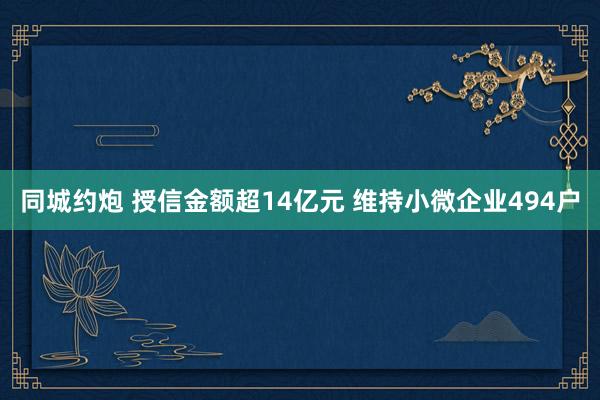 同城约炮 授信金额超14亿元 维持小微企业494户