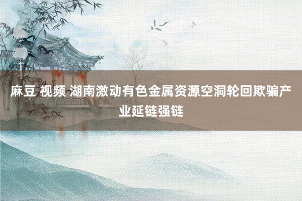 麻豆 视频 湖南激动有色金属资源空洞轮回欺骗产业延链强链