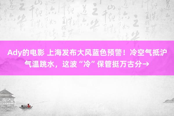Ady的电影 上海发布大风蓝色预警！冷空气抵沪气温跳水，这波“冷”保管挺万古分→