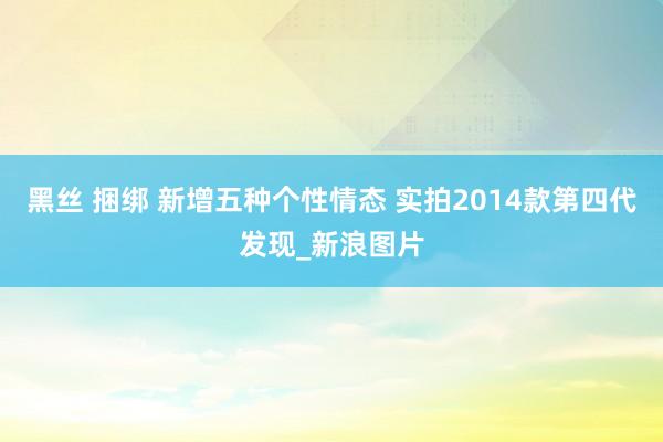 黑丝 捆绑 新增五种个性情态 实拍2014款第四代发现_新浪图片