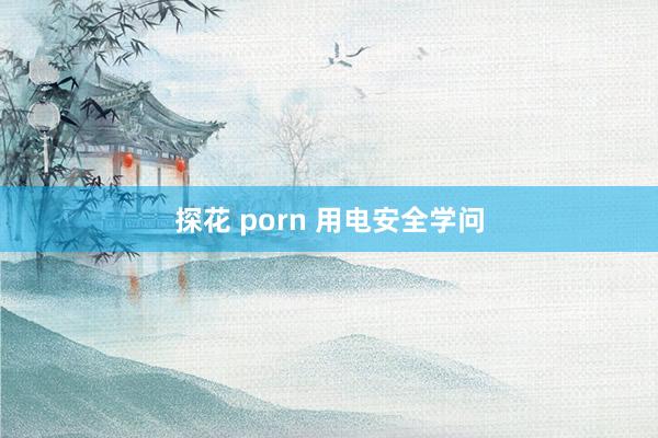 探花 porn 用电安全学问