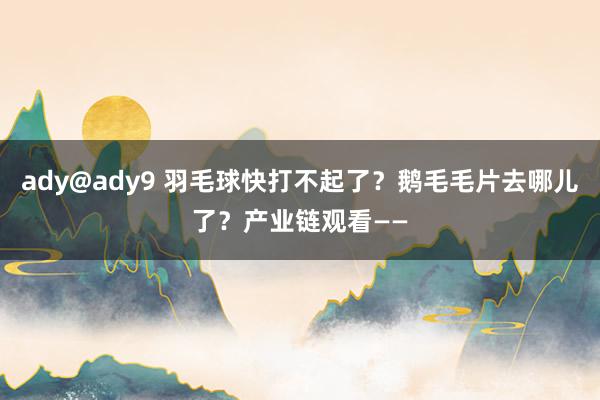 ady@ady9 羽毛球快打不起了？鹅毛毛片去哪儿了？产业链观看——