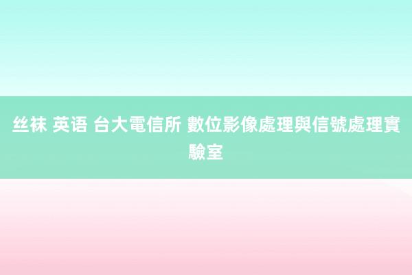 丝袜 英语 台大電信所 數位影像處理與信號處理實驗室