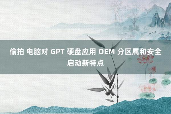 偷拍 电脑对 GPT 硬盘应用 OEM 分区属和安全启动新特点