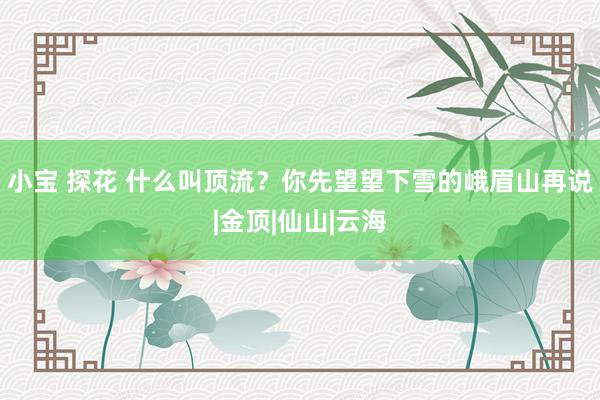 小宝 探花 什么叫顶流？你先望望下雪的峨眉山再说|金顶|仙山|云海