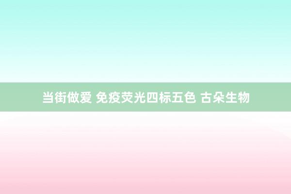 当街做爱 免疫荧光四标五色 古朵生物
