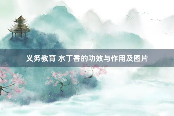 义务教育 水丁香的功效与作用及图片