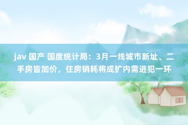 jav 国产 国度统计局：3月一线城市新址、二手房皆加价，住房销耗将成扩内需进犯一环