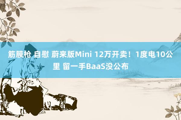 筋膜枪 自慰 蔚来版Mini 12万开卖！1度电10公里 留一手BaaS没公布