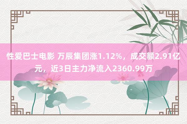 性爱巴士电影 万辰集团涨1.12%，成交额2.91亿元，近3日主力净流入2360.99万