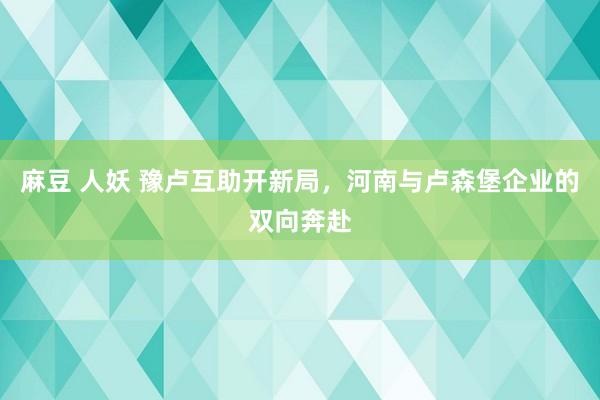 麻豆 人妖 豫卢互助开新局，河南与卢森堡企业的双向奔赴