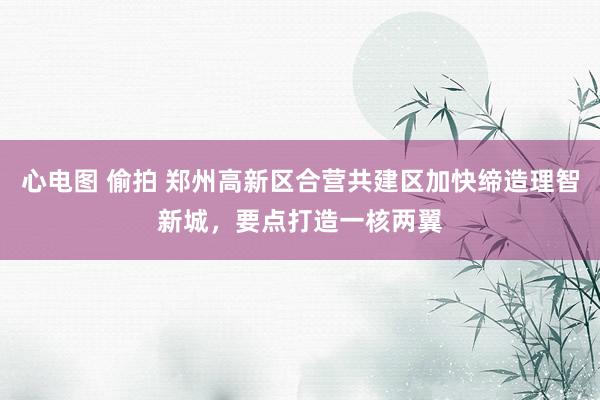 心电图 偷拍 郑州高新区合营共建区加快缔造理智新城，要点打造一核两翼